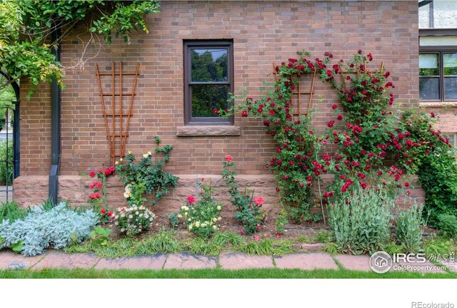 604 Mapleton Ave, Boulder, CO 80304 - photo 32