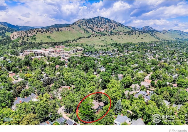 604 Mapleton Ave, Boulder, CO 80304 - photo 39