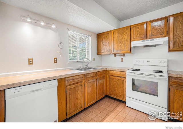 3247 19th Street Dr, Greeley, CO 80634 - photo 7