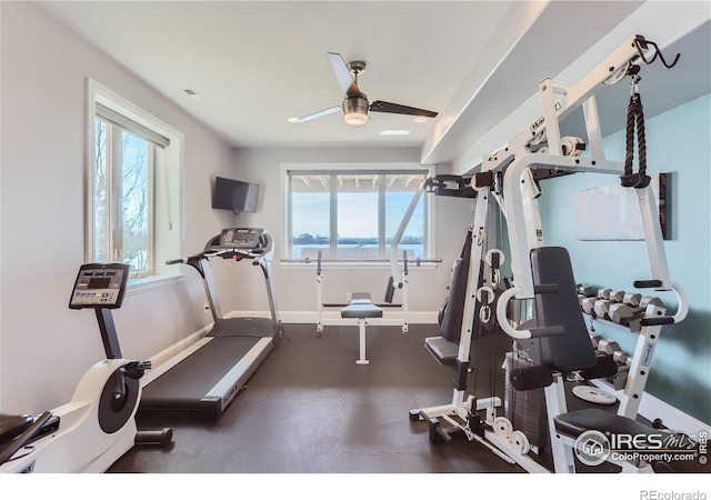 5763 Pelican Shores Dr, Longmont, CO 80504 - workout room with healthy amount of natural light and a ceiling fan