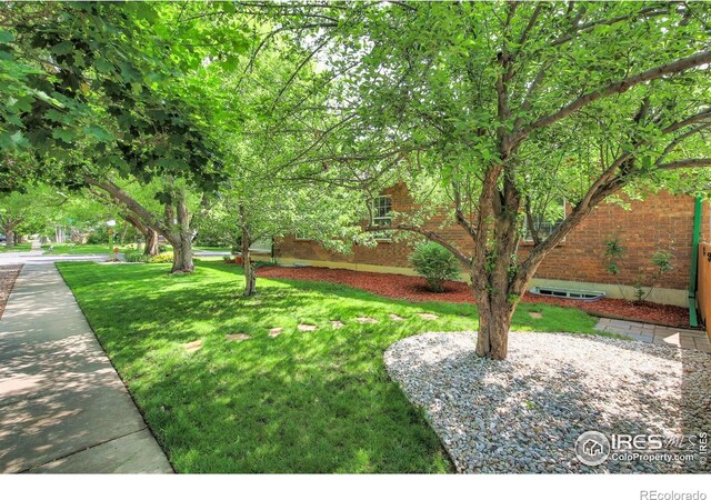 301 E Colorado Ave, Berthoud, CO 80513 - photo 3