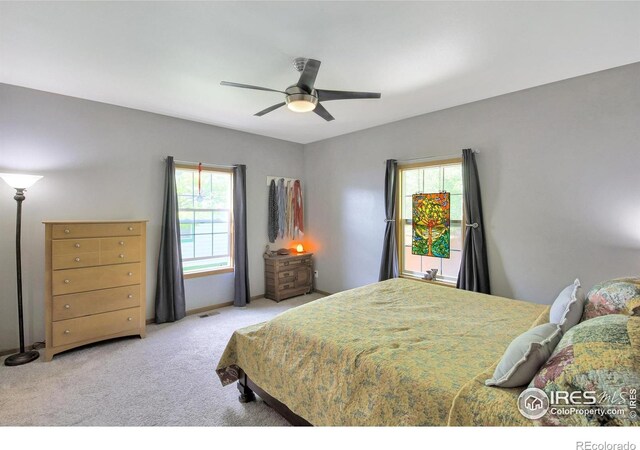 301 E Colorado Ave, Berthoud, CO 80513 - photo 22
