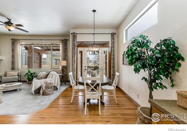5457 Wishing Well Dr, Timnath, CO 80547 - dining room featuring a chandelier, light wood-type flooring, and a ceiling fan