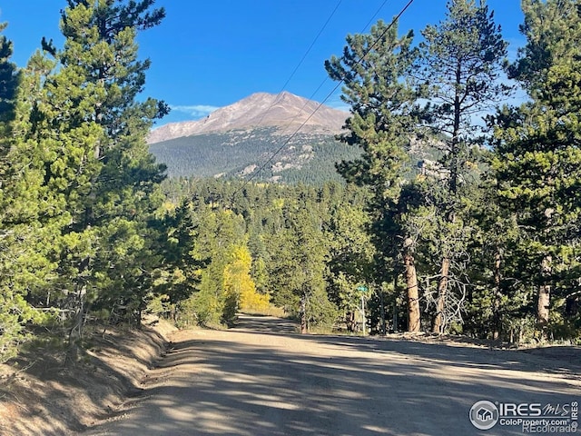 33 N Skinner Rd, Allenspark, CO 80510 - view of mountain backdrop with a forest