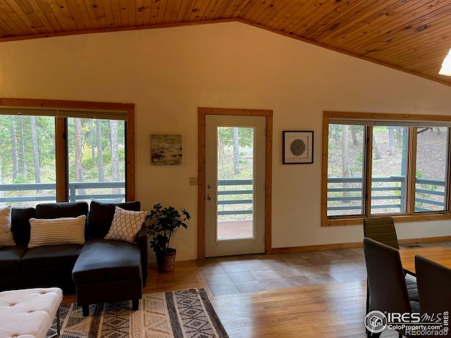 33 N Skinner Rd, Allenspark, CO 80510 - living area featuring vaulted ceiling, wooden ceiling, and light wood-style floors