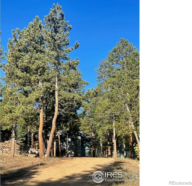 33 N Skinner Rd, Allenspark, CO 80510 - view of front of home