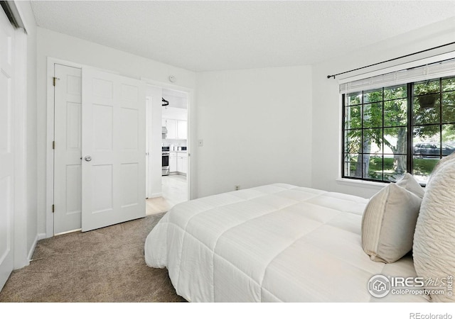 5920 Gunbarrel Ave Unit D, Boulder, CO 80301 - photo 24