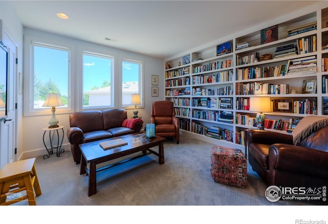 3747 Mountain Laurel Pl, Boulder, CO 80304 - living area with wall of books and carpet flooring