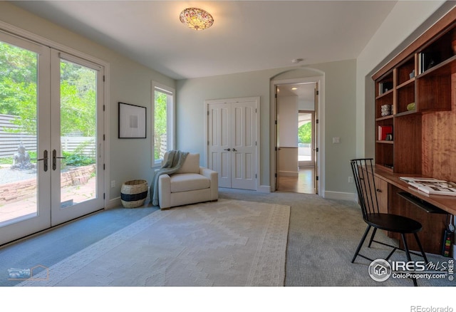 3747 Mountain Laurel Pl, Boulder, CO 80304 - office space with carpet floors and french doors