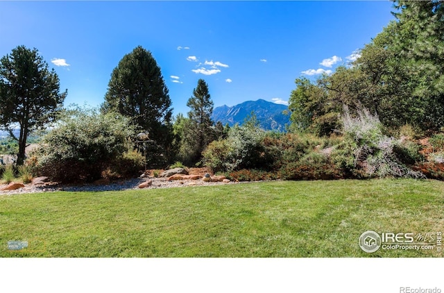 3747 Mountain Laurel Pl, Boulder, CO 80304 - view of green lawn with a mountain view