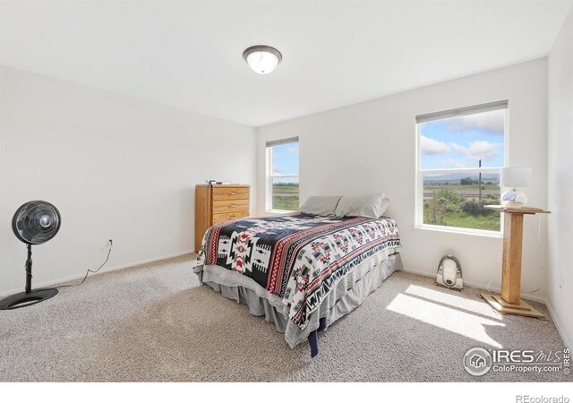 6301 Grand Mesa Dr, Loveland, CO 80538 - photo 9