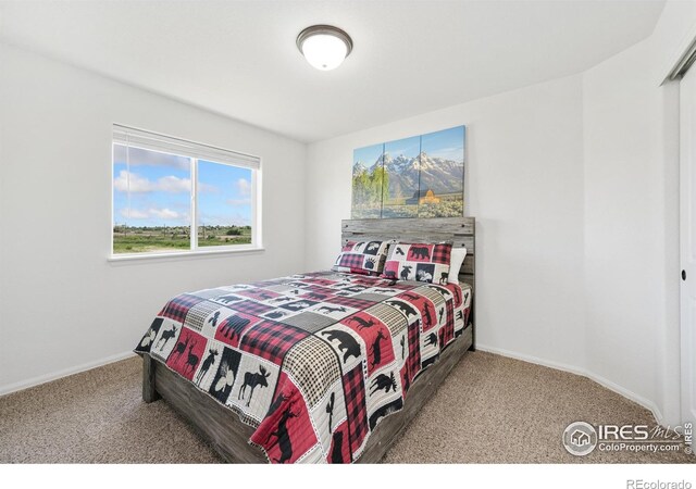6301 Grand Mesa Dr, Loveland, CO 80538 - photo 11