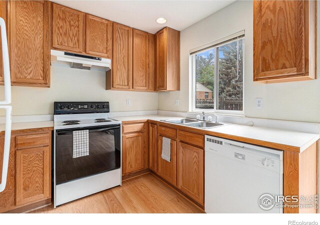 911 Tulip St Unit C, Longmont, CO 80501 - kitchen with dishwasher, range with electric stovetop, under cabinet range hood, light wood-style flooring, and light countertops
