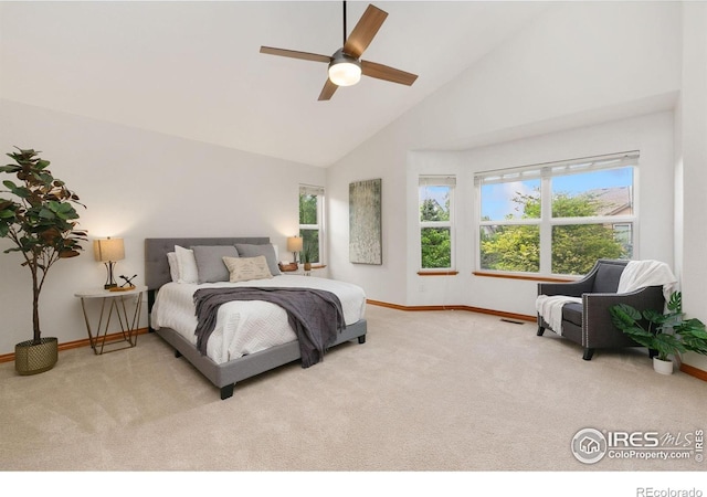 3514 Copper Spring Dr, Fort Collins, CO 80528 - photo 8