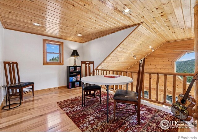 15 Chillicothe Ct, Red Feather Lakes, CO 80545