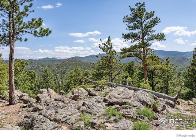 15 Chillicothe Ct, Red Feather Lakes, CO 80545