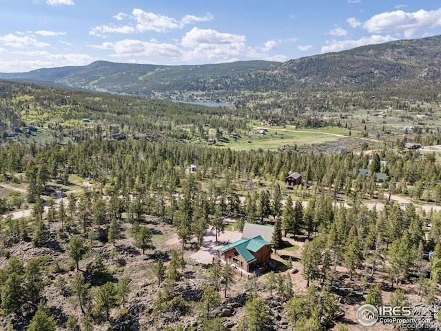 15 Chillicothe Ct, Red Feather Lakes, CO 80545