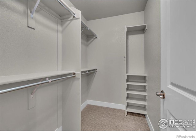 2608 Kansas Dr Unit 108, Fort Collins, CO 80525 - photo 16