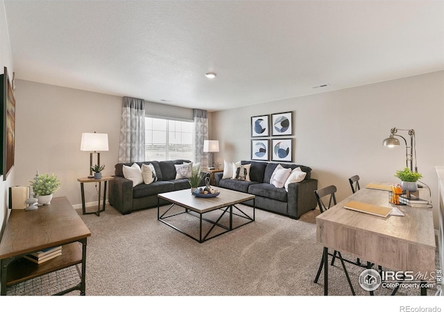 114 65th Ave, Greeley, CO 80634 - view of carpeted living area