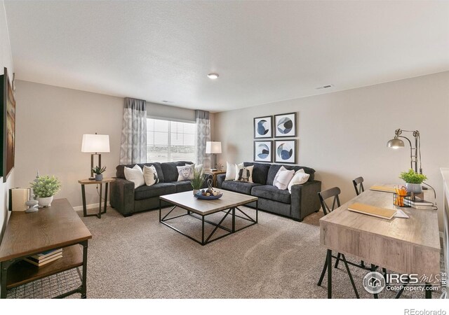 114 65th Ave, Greeley, CO 80634 - photo 17