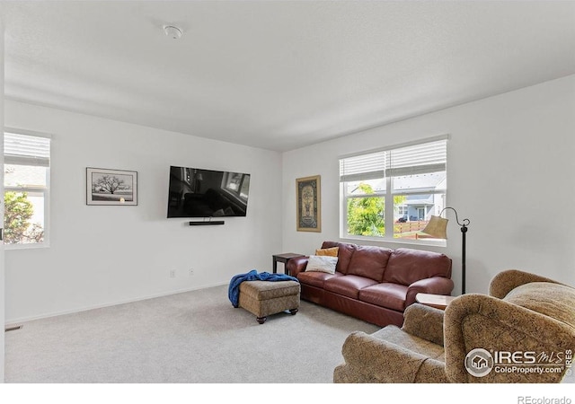 6792 Covenant Ct, Timnath, CO 80547 - carpeted living area with baseboards