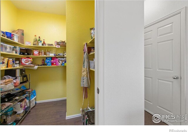 6792 Covenant Ct, Timnath, CO 80547 - view of storage area