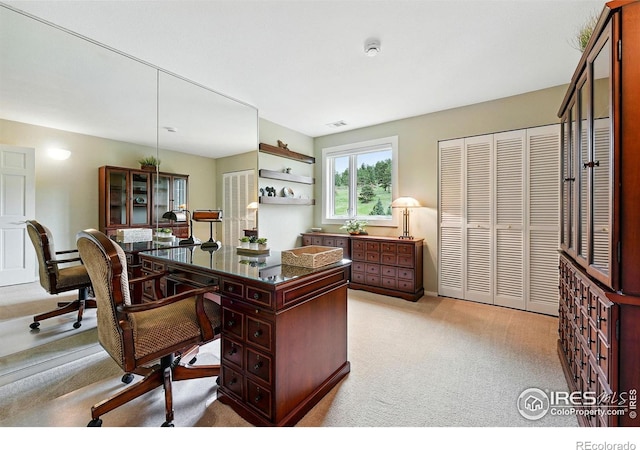 178 Balsam Ln, Boulder, CO 80304 - home office with carpet floors