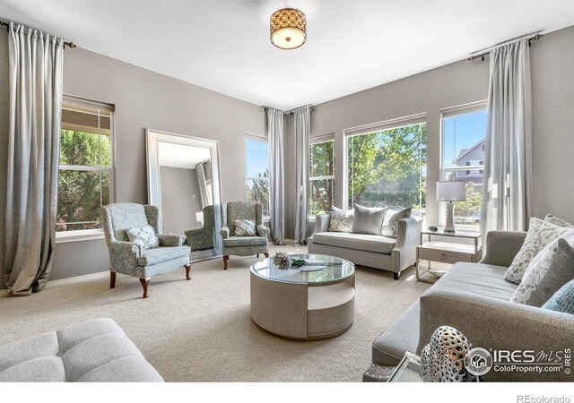 1976 Cayman Dr, Windsor, CO 80550 - living area with plenty of natural light and carpet flooring
