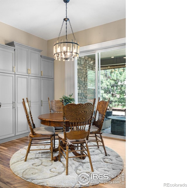 1976 Cayman Dr, Windsor, CO 80550 - dining room featuring a chandelier and light wood-style floors