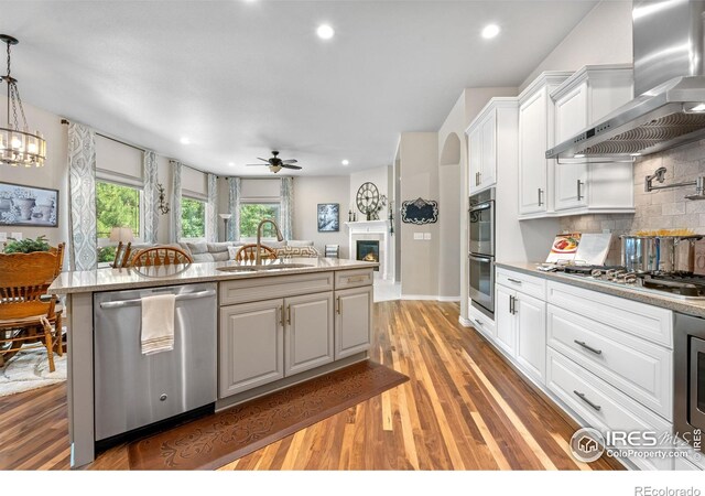 1976 Cayman Dr, Windsor, CO 80550 - kitchen with stainless steel appliances, wall chimney exhaust hood, ceiling fan, open floor plan, and light wood-style flooring