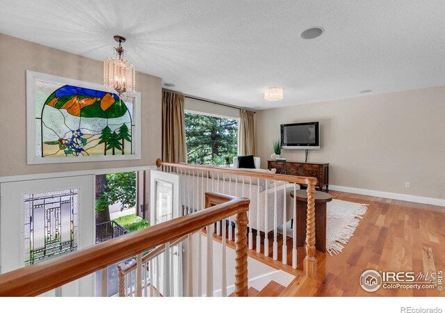 1505 Kendall Dr, Boulder, CO 80305 - photo 7