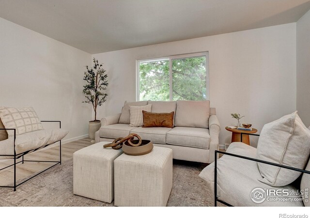 1206 Dawn Ave, Gilcrest, CO 80623 - living room with wood finished floors and baseboards
