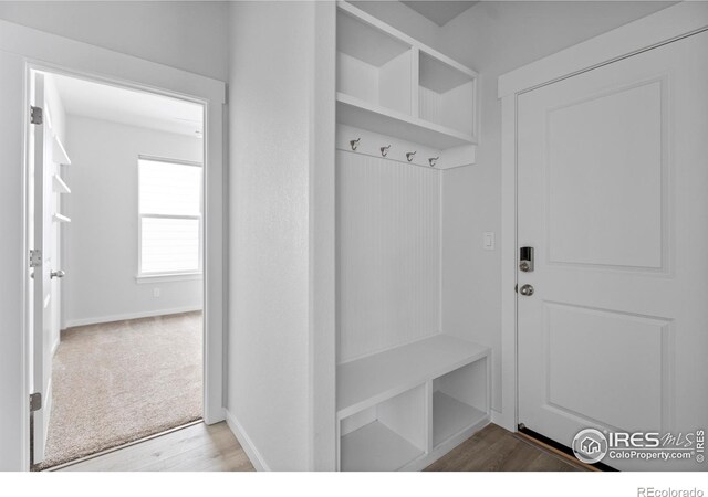 4246 Martinson Dr, Loveland, CO 80537 - photo 6