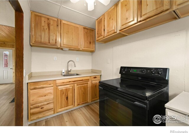 860 County Road 67j, Red Feather Lakes, CO 80545 - photo 8