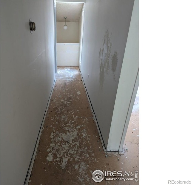 2919 Riverside Dr, Idaho Springs, CO 80452 - view of hallway