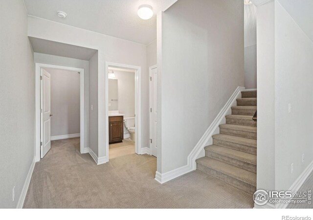 5902 Yellow Creek Dr, Fort Collins, CO 80528 - photo 28