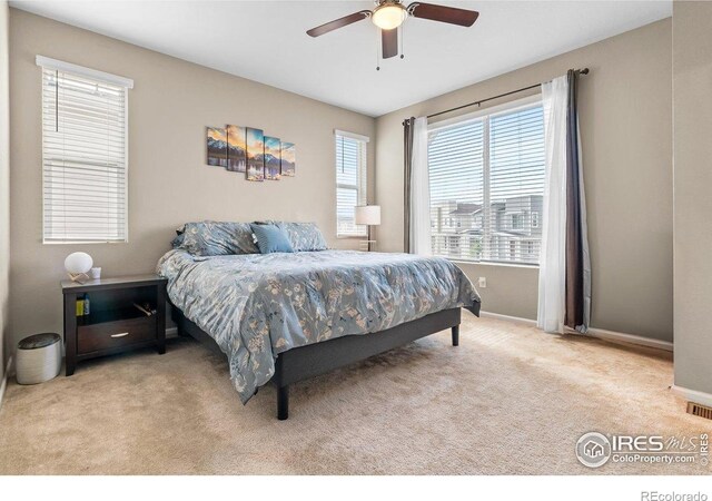 5325 Spalding Pl, Frederick, CO 80504 - photo 16