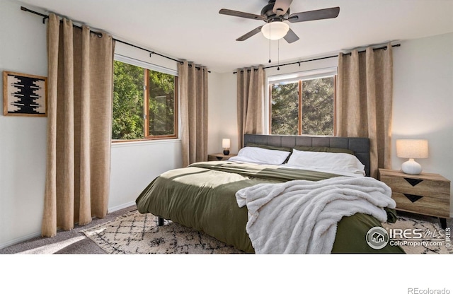1922 Enfield Ct, Fort Collins, CO 80526 - bedroom with multiple windows, carpet floors, and a ceiling fan