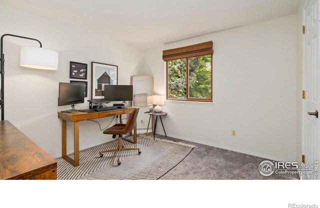 1922 Enfield Ct, Fort Collins, CO 80526 - office area featuring carpet floors and baseboards
