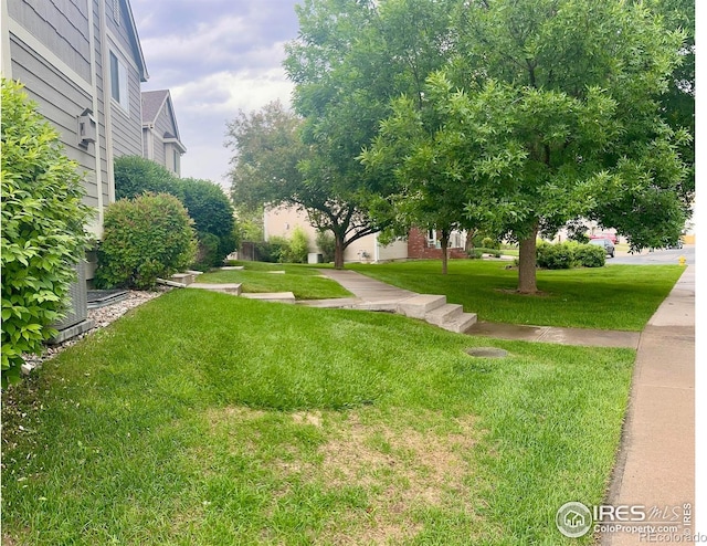 2120 Timber Creek Dr Unit 5, Fort Collins, CO 80528 - view of green lawn