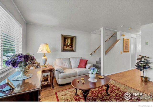 1213 Pomona St, Fort Collins, CO 80521 - photo 5