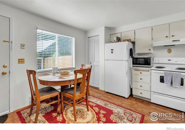 1213 Pomona St, Fort Collins, CO 80521 - photo 9
