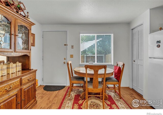 1213 Pomona St, Fort Collins, CO 80521 - photo 10