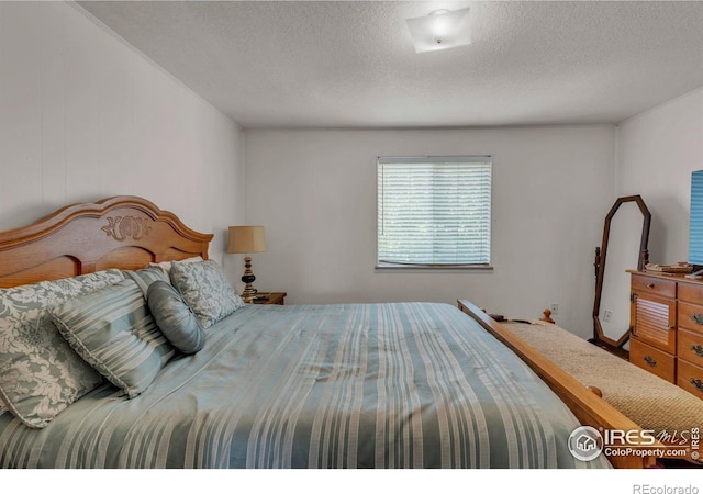 1213 Pomona St, Fort Collins, CO 80521 - photo 11
