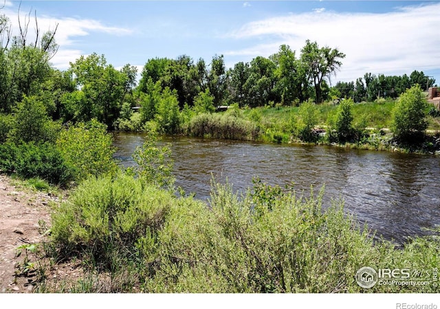 1213 Pomona St, Fort Collins, CO 80521 - photo 24