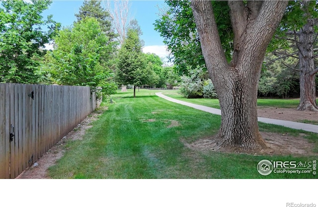 1706 Lakeshore Dr, Fort Collins, CO 80525 - photo 35