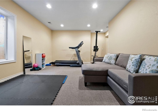 1043 Terrace Cir S, Boulder, CO 80304 - exercise area featuring recessed lighting and carpet floors