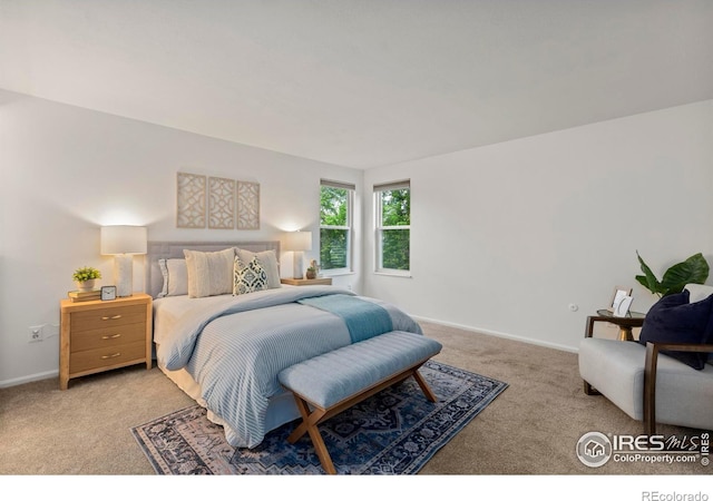 1221 Bay Ct, Loveland, CO 80538 - photo 16
