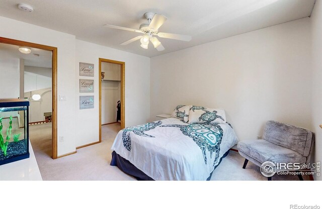13673 Cook St, Thornton, CO 80602 - bedroom with carpet, a closet, and a ceiling fan