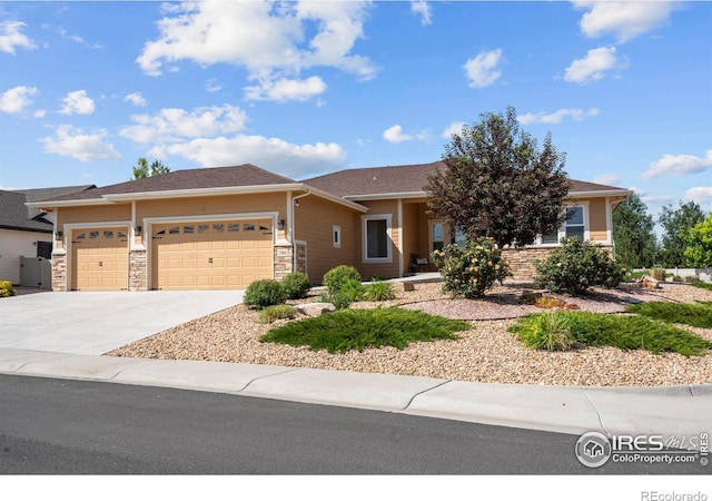 7401 Turnbull Ct, Windsor, CO 80550